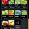 RELX悅刻六代煙彈3顆入 / 不通用一代 / 就是這5%薄荷完整了我靈魂/